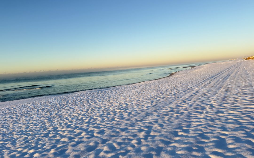 Another Christmas Movie