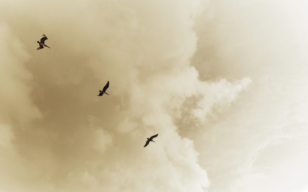 New From The Tower  Vol 37