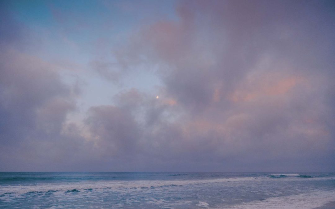 News from the Tower – VOL 39