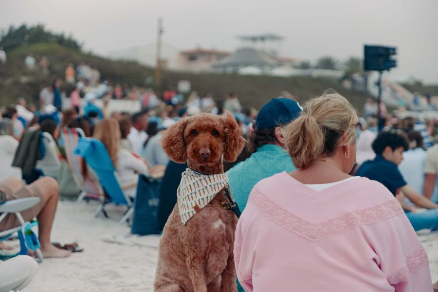 Easter on the beach at Seaside